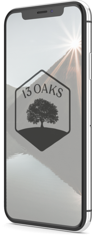 13Oaks-Startup-Consultant 13Oaks-Startup-Consultant